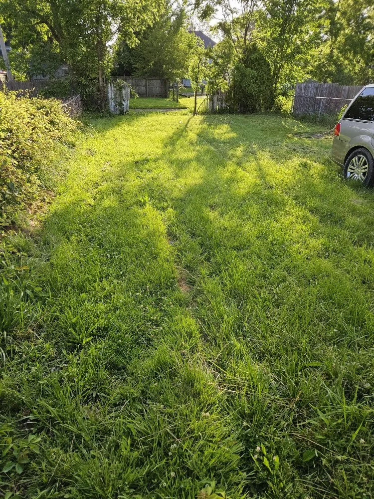 Reliable landscaping services for beautiful yards across Lima, OH - TSunz