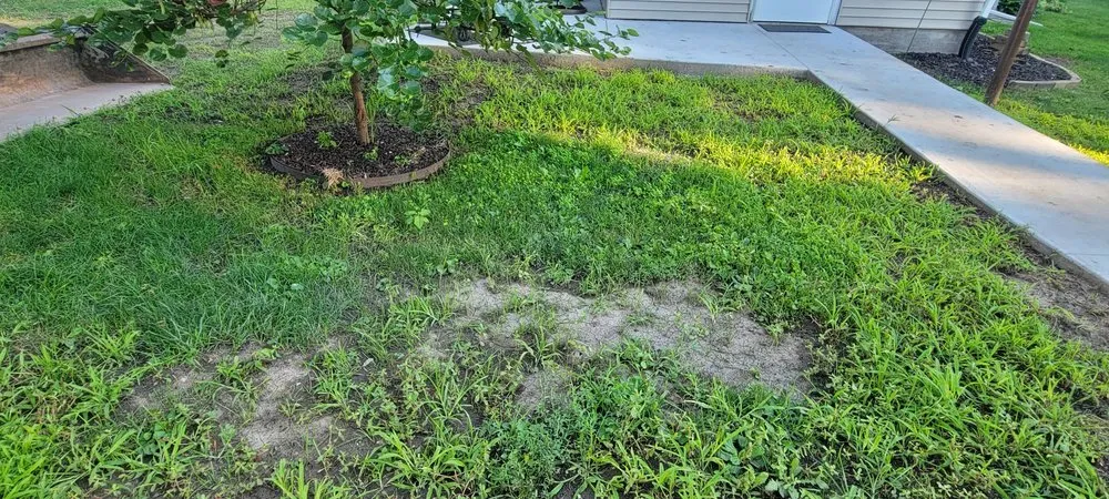 Professional lawn mowing service for year-round maintenance across Sterling, IL - T&T Concrete & Landscape