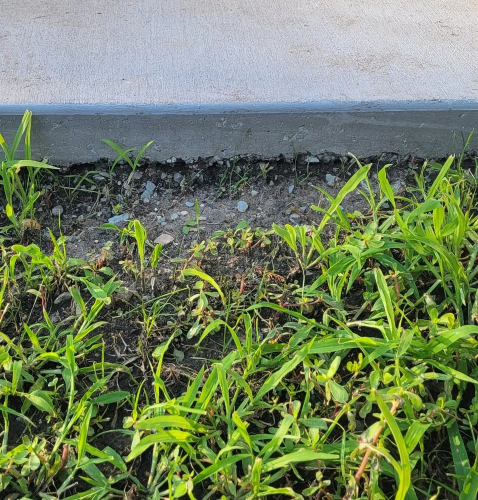 Expert lawn care service in Sterling, IL - T&T Concrete & Landscape