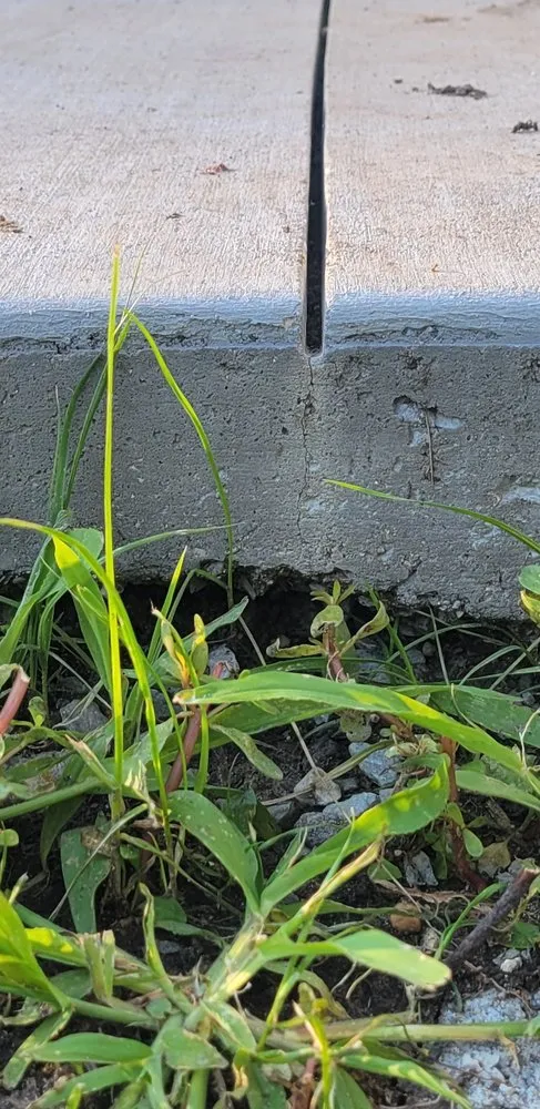 Top-rated landscaping services experts serving Sterling, IL - T&T Concrete & Landscape