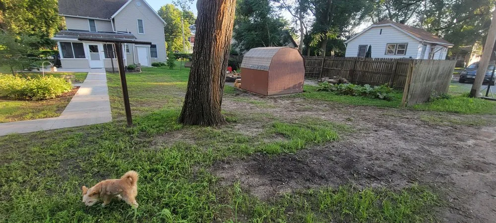 Custom lawn mowing service for year-round maintenance across Sterling, IL - T&T Concrete & Landscape