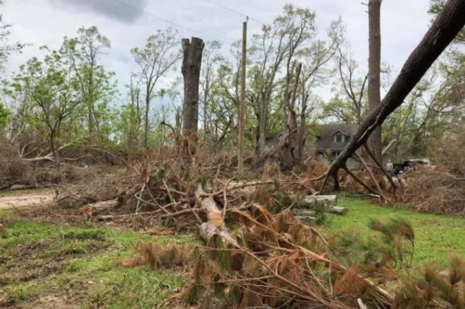 Trusted landscape installation for year-round maintenance across Grand Saline, TX - T&T Land Services