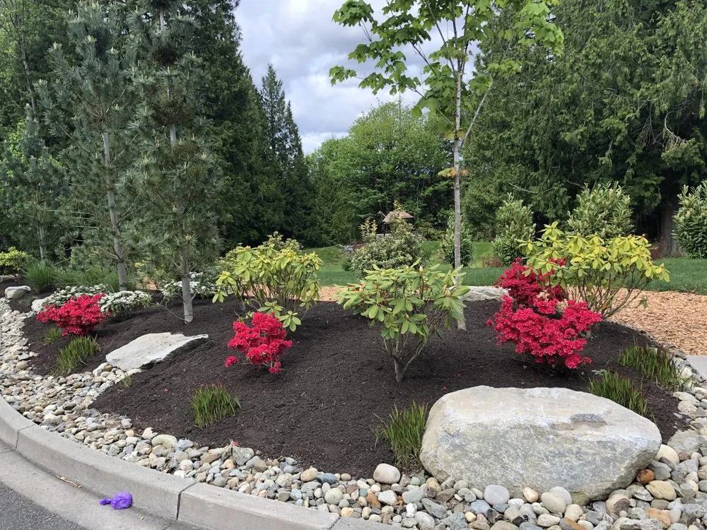Reliable yard maintenance in Everett, WA - TT Landscape