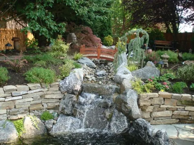 Professional yard cleanup service experts serving Everett, WA - TT Landscape