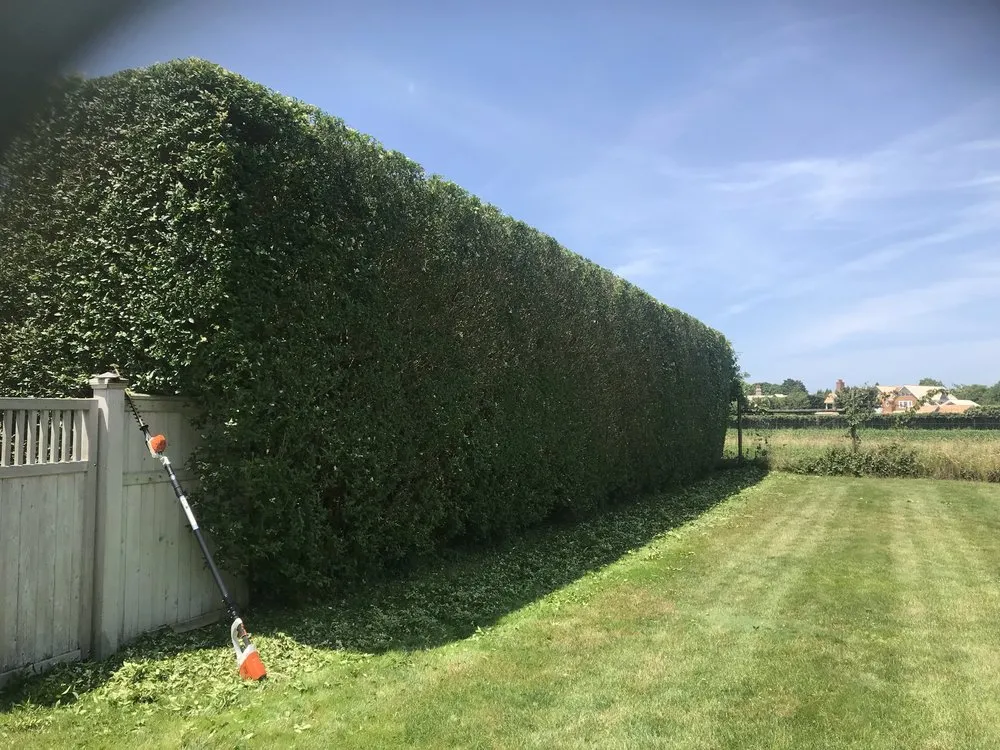 Affordable residential landscaping with custom design in Lancaster, PA by TT Landscaping