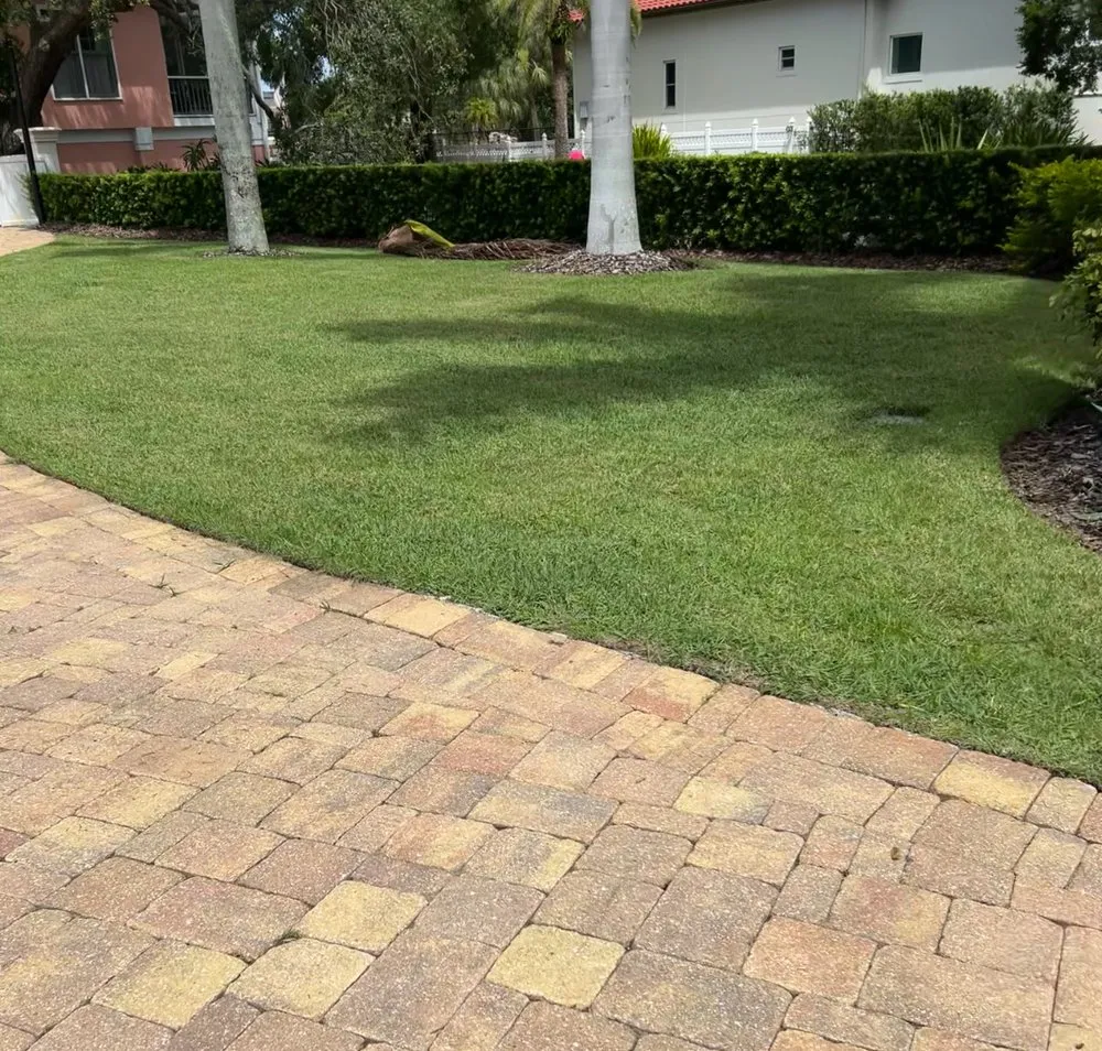 Reliable landscaping services for beautiful yards in Tampa, FL by T&T Landscaping