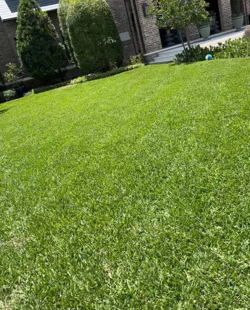 Professional landscape installation for beautiful yards in Tampa, FL by T&T Landscaping