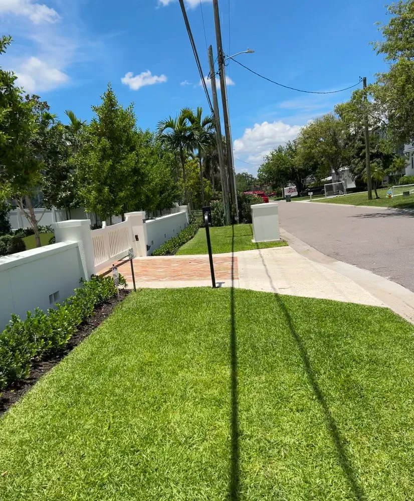 Reliable landscaping services in Tampa, FL by T&T Landscaping