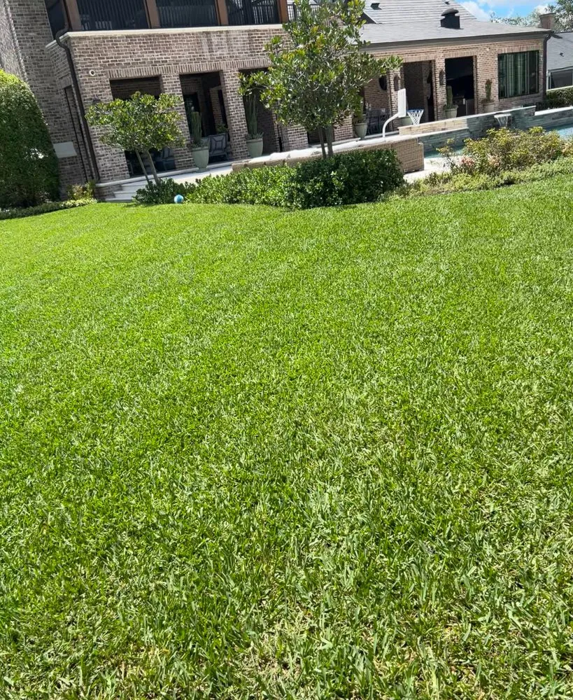 Reliable yard maintenance experts serving Tampa, FL - T&T Landscaping
