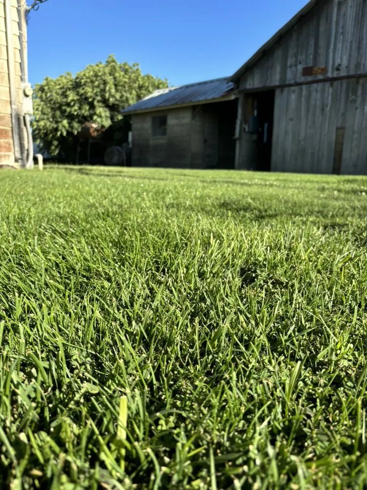 Reliable yard maintenance for beautiful yards across Hilmar, CA - T&T Lawn Care
