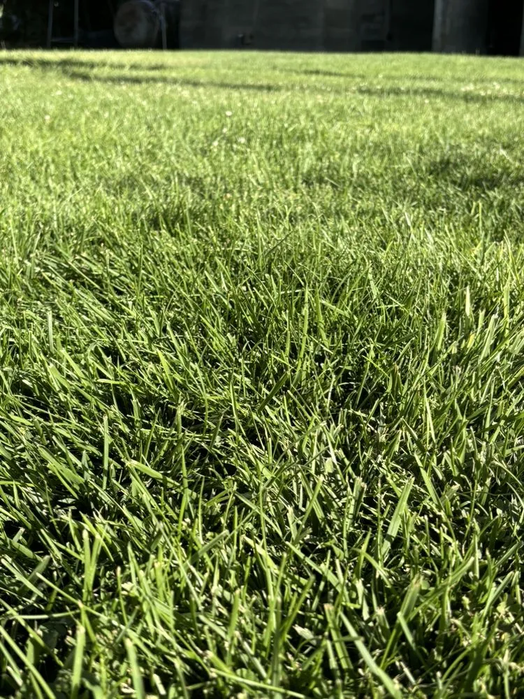 Affordable outdoor landscaping experts serving Hilmar, CA - T&T Lawn Care