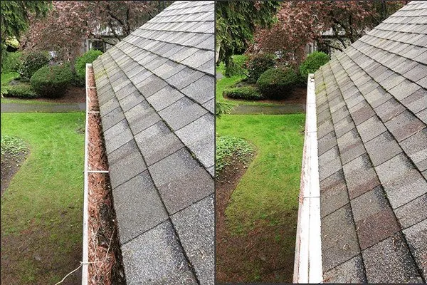 Affordable residential landscaping in Hilmar, CA by T&T Lawn Care