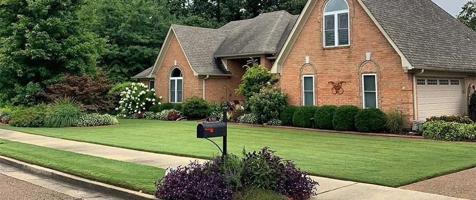 Custom lawn mowing service in Montgomery, AL by T&T Lawn Care Service