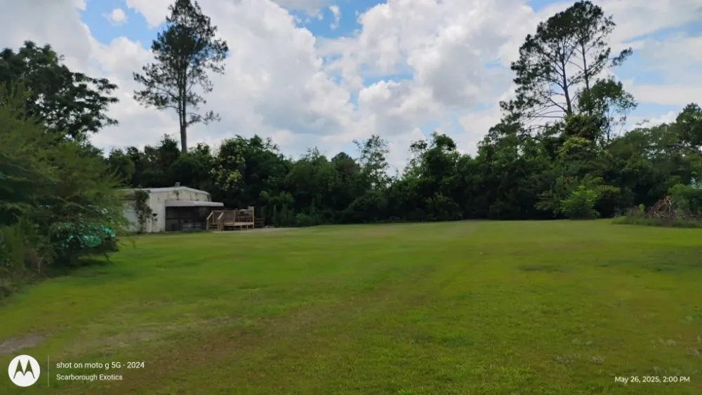 Trusted lawn care service experts serving Fitzgerald, GA - T&T Lawn Service