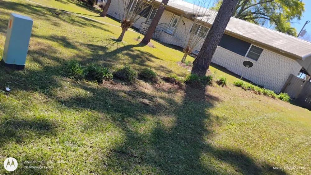 Top-rated landscape design for year-round maintenance in Fitzgerald, GA by T&T Lawn Service