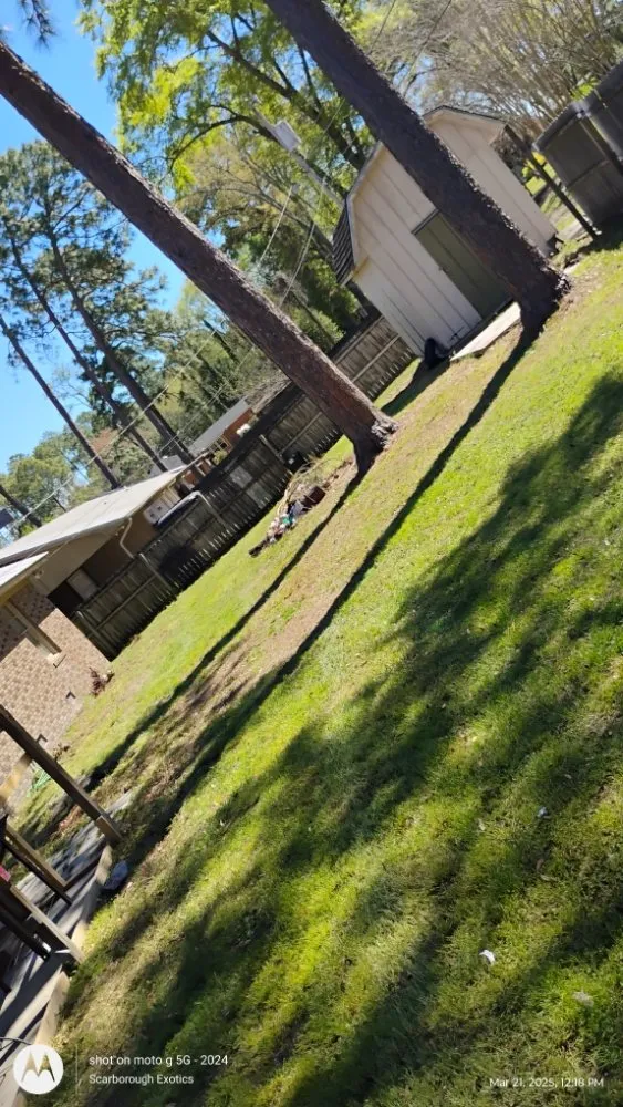 Expert landscaping services in Fitzgerald, GA - T&T Lawn Service