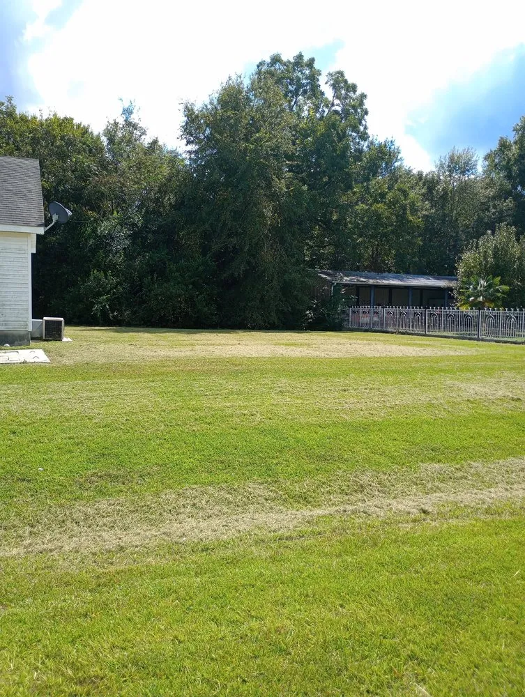 Professional lawn care service for residential properties in Fitzgerald, GA by T&T Lawn Service