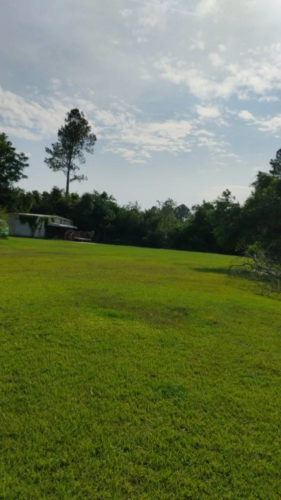 Affordable outdoor landscaping in Fitzgerald, GA - T&T Lawn Service