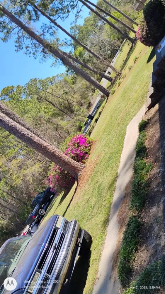 Affordable landscaping services in Fitzgerald, GA - T&T Lawn Service