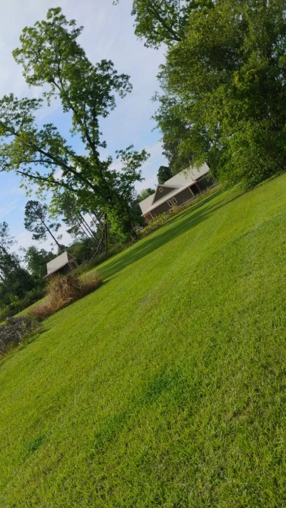 Professional yard cleanup service for year-round maintenance in Fitzgerald, GA by T&T Lawn Service