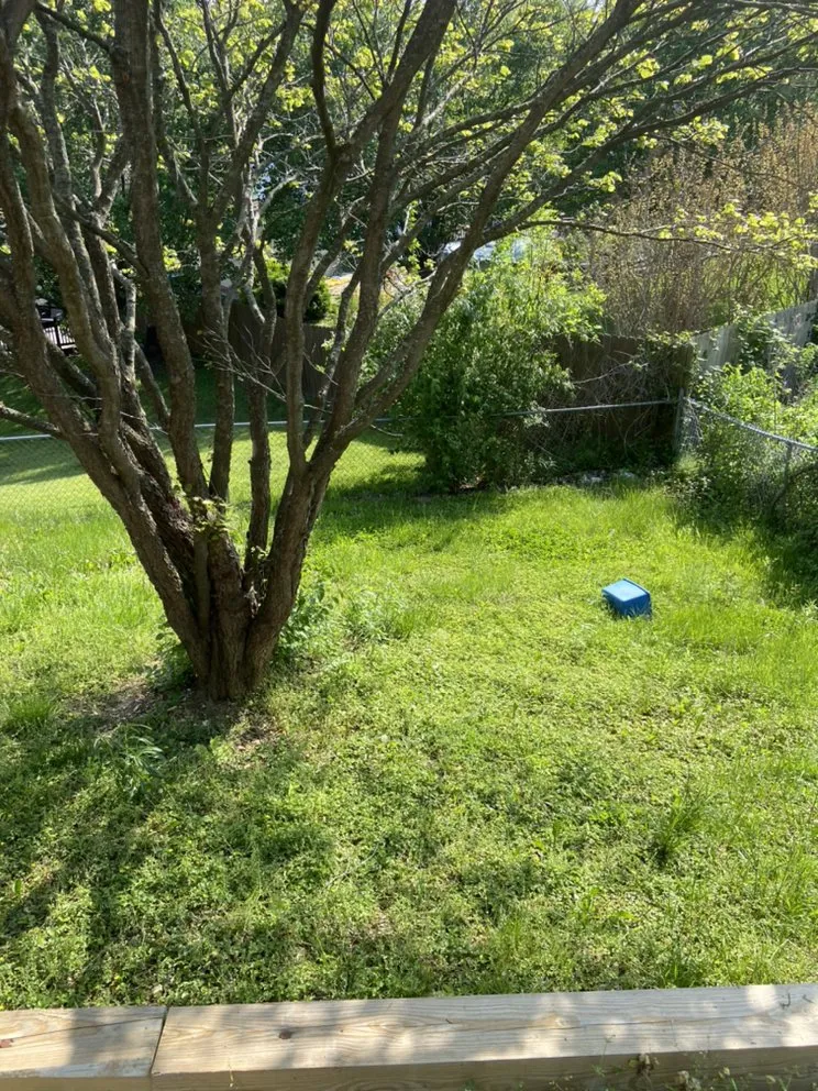 Affordable residential landscaping experts serving House Springs, MO - T&T Lawncare