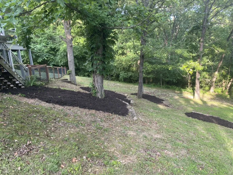 Trusted yard maintenance experts serving House Springs, MO - T&T Lawncare