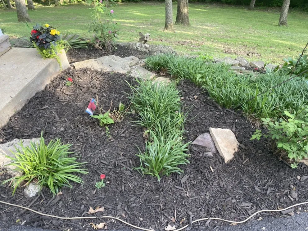 Trusted landscape design for outdoor upgrades across House Springs, MO - T&T Lawncare