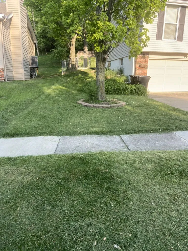 Professional outdoor landscaping in House Springs, MO - T&T Lawncare