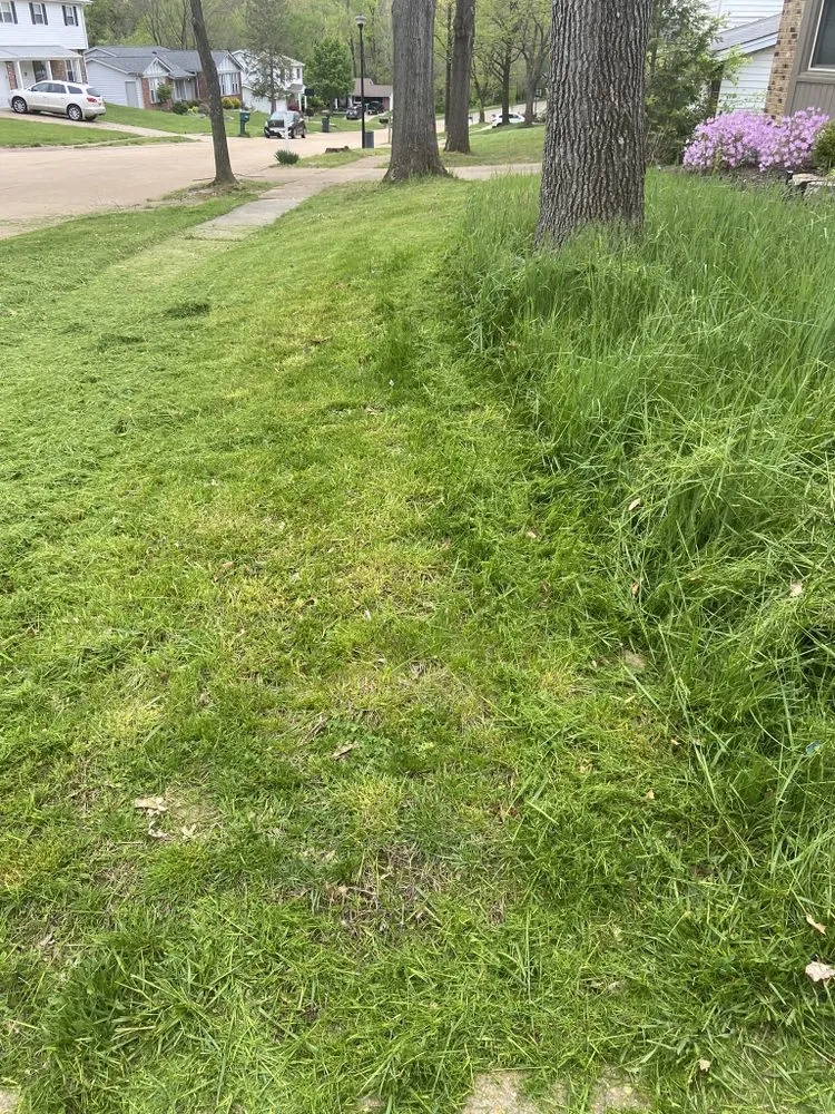Trusted landscaping services in House Springs, MO by T&T Lawncare