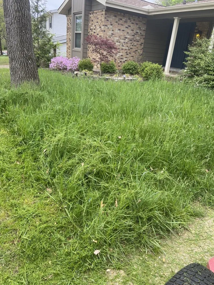 Professional residential landscaping in House Springs, MO - T&T Lawncare