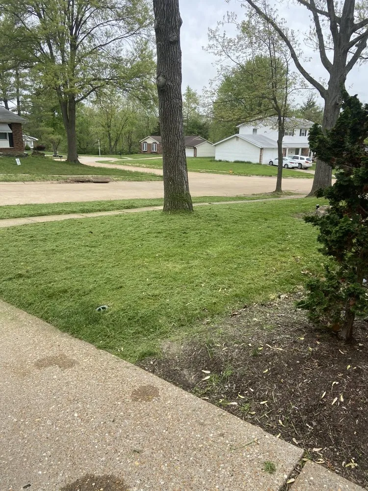 Custom yard maintenance experts serving House Springs, MO - T&T Lawncare