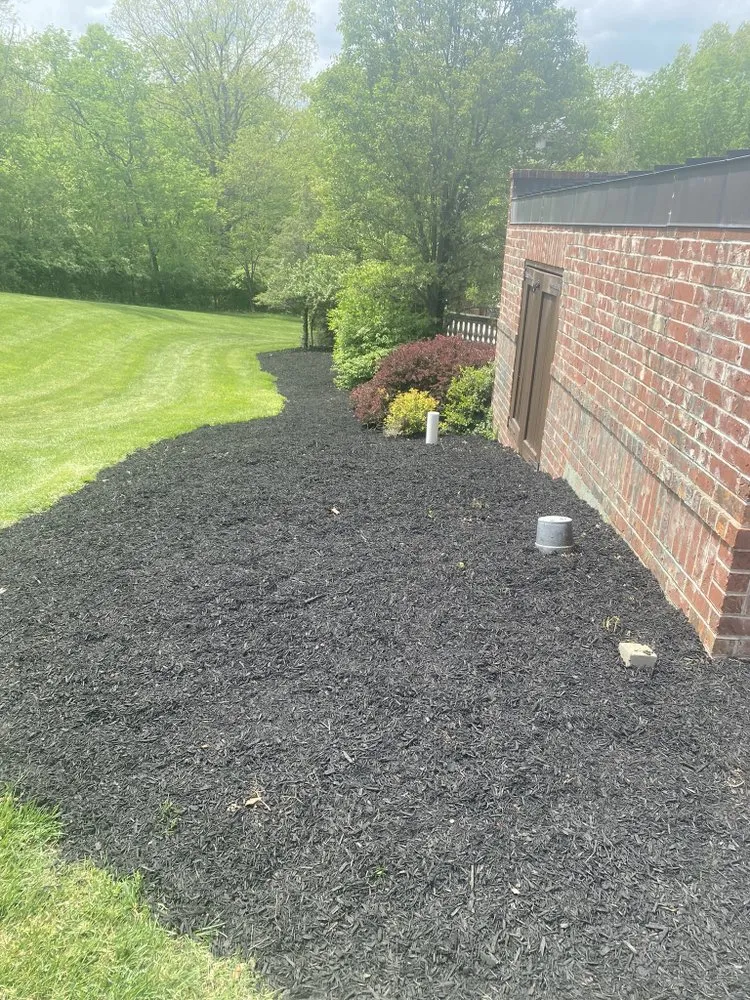 Expert yard maintenance experts serving House Springs, MO - T&T Lawncare