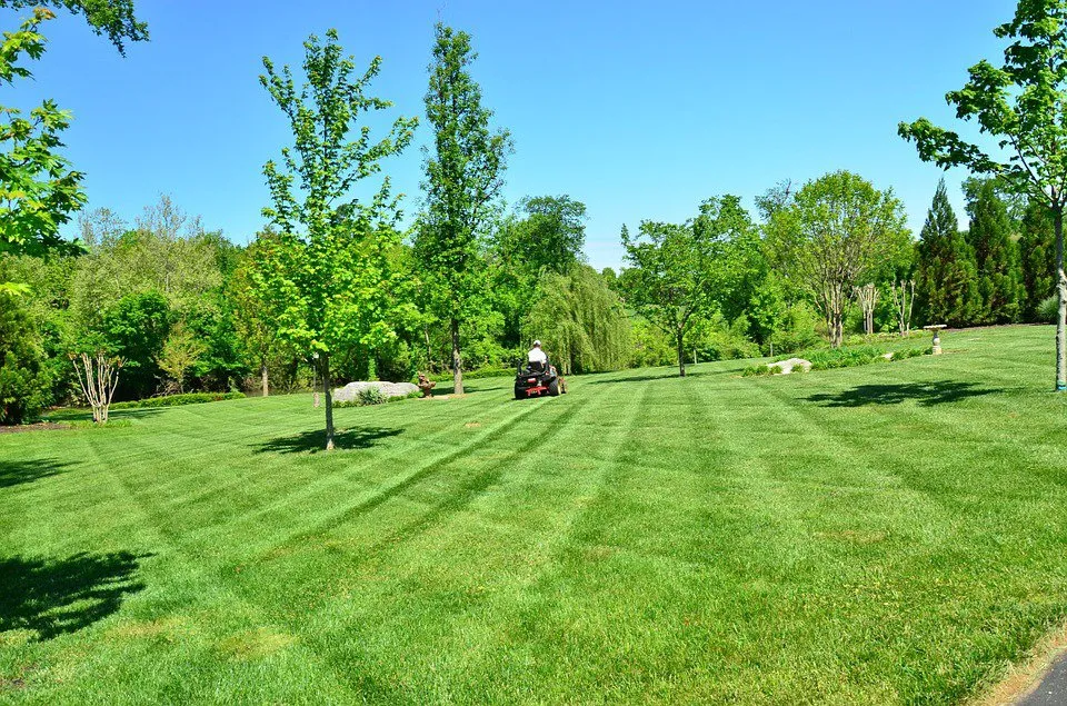 Custom outdoor landscaping in House Springs, MO by T&T Lawncare