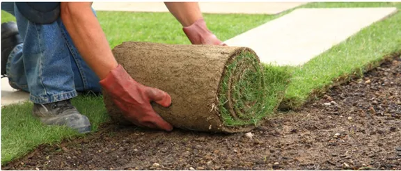 Top-rated outdoor landscaping experts serving Belton, MO - T&T Outdoor Services