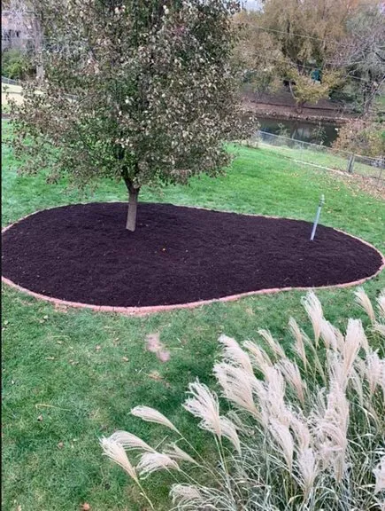 Local yard maintenance near you across Belton, MO - T&T Outdoor Services