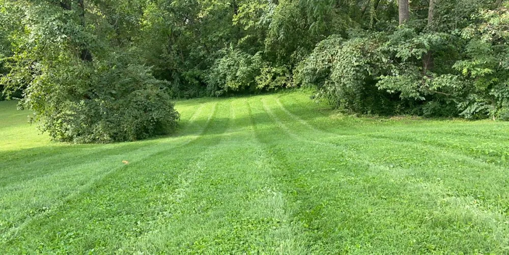 Local lawn mowing service experts serving PLEASURE RDGE, KY - Tt Property Maintenance