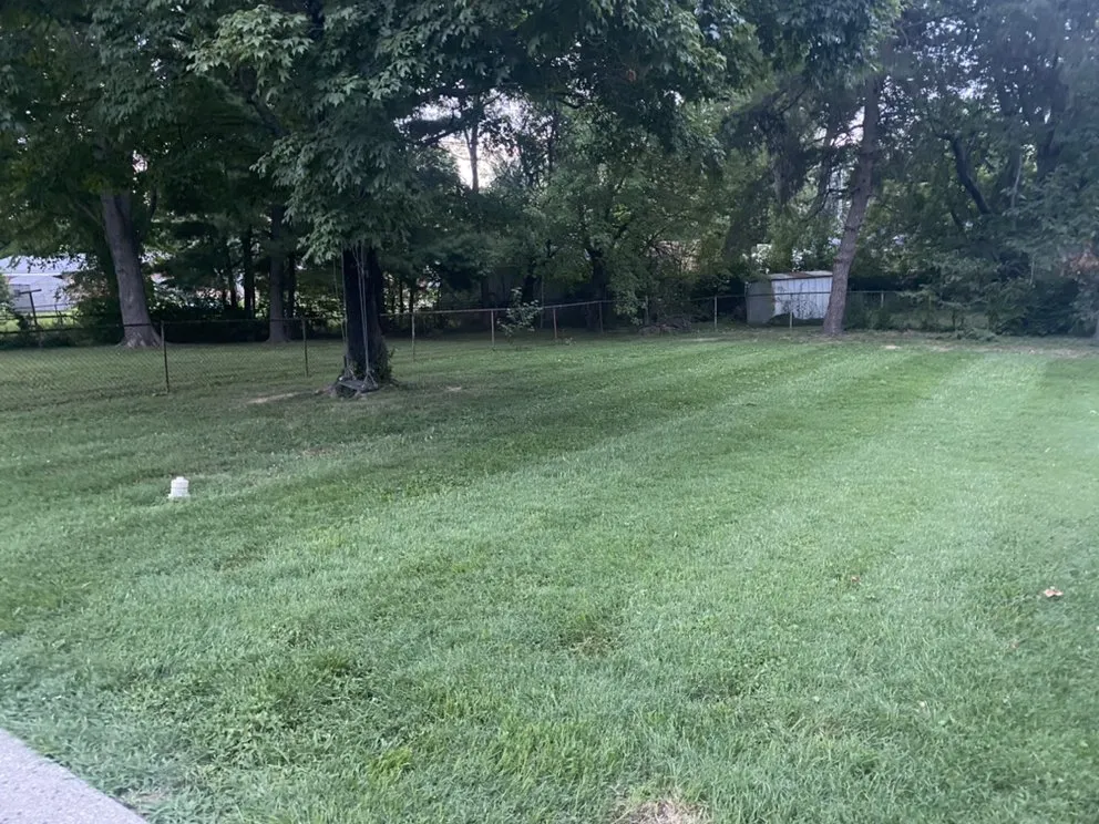 Custom outdoor landscaping for year-round maintenance in PLEASURE RDGE, KY by Tt Property Maintenance