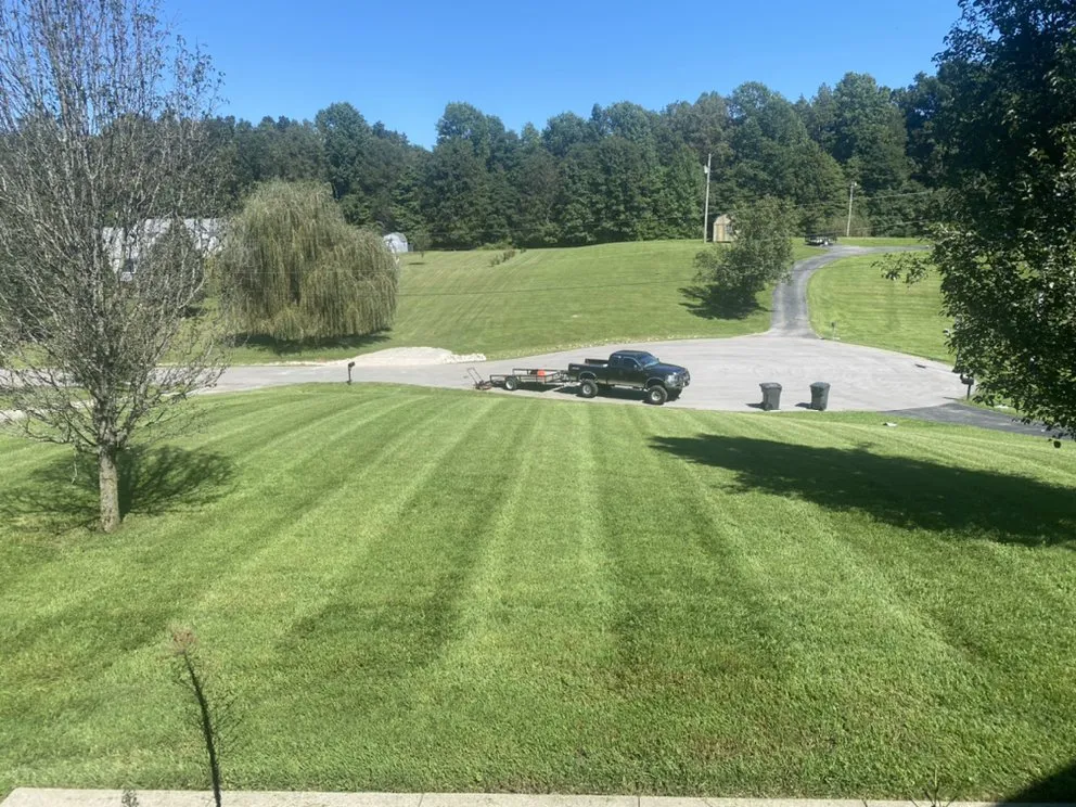 Expert yard cleanup service in PLEASURE RDGE, KY - Tt Property Maintenance