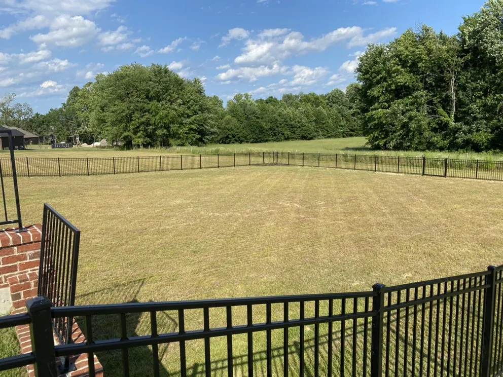 Reliable yard cleanup service in PLEASURE RDGE, KY by Tt Property Maintenance