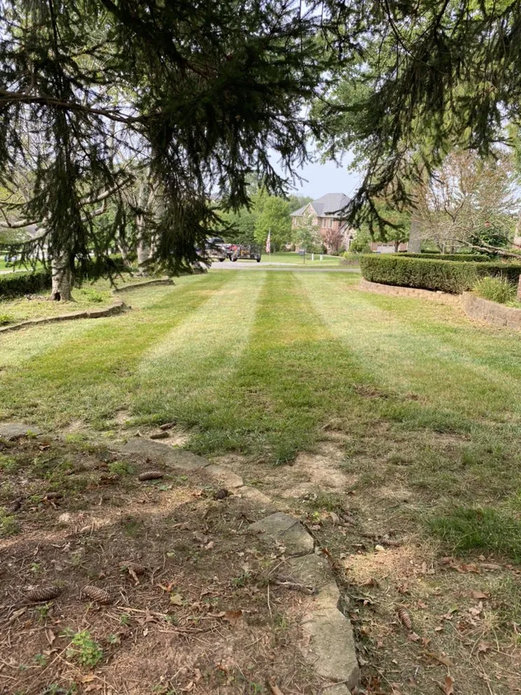 Reliable garden landscaping in PLEASURE RDGE, KY by Tt Property Maintenance