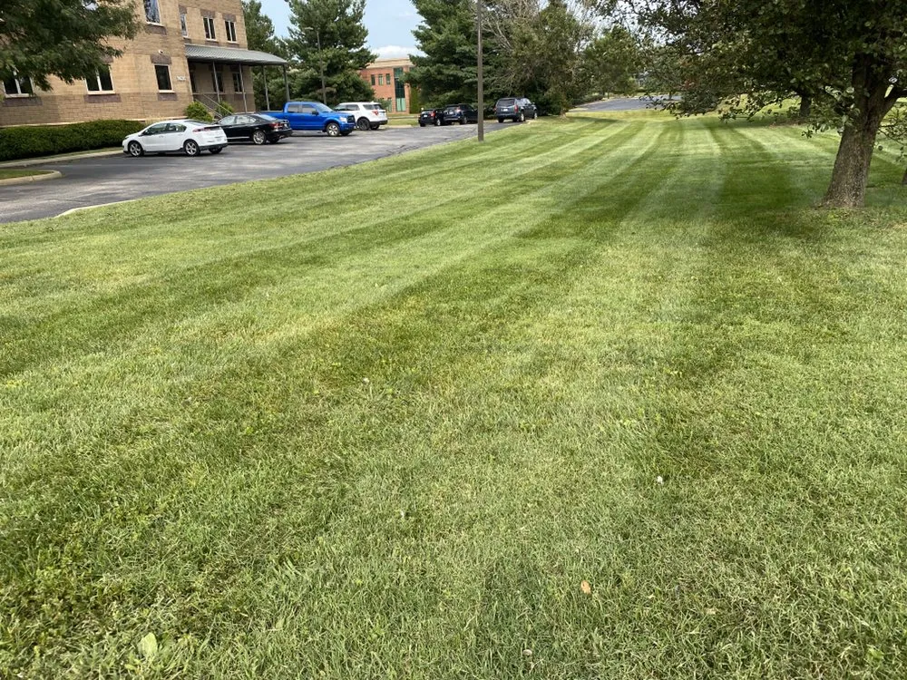 Professional residential landscaping for homes in PLEASURE RDGE, KY by Tt Property Maintenance