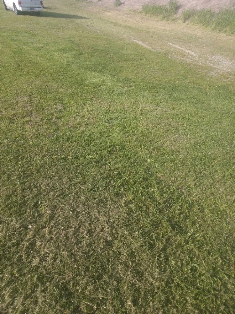 Trusted outdoor landscaping in Milan, TN - TT Tree and Lawn Service