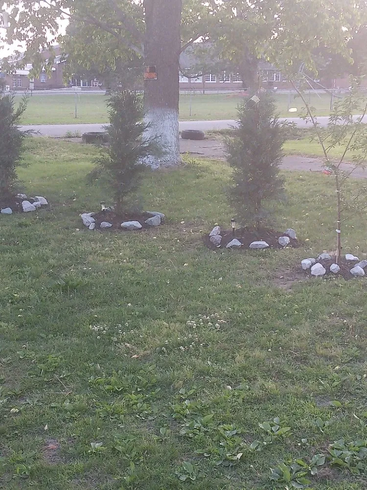 Reliable lawn care service with custom design in Milan, TN by TT Tree and Lawn Service