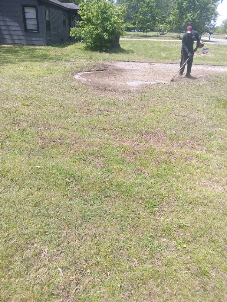 Professional lawn care service near you in Milan, TN by TT Tree and Lawn Service