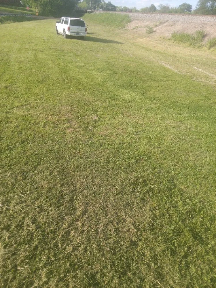 Custom outdoor landscaping for residential properties in Milan, TN by TT Tree and Lawn Service