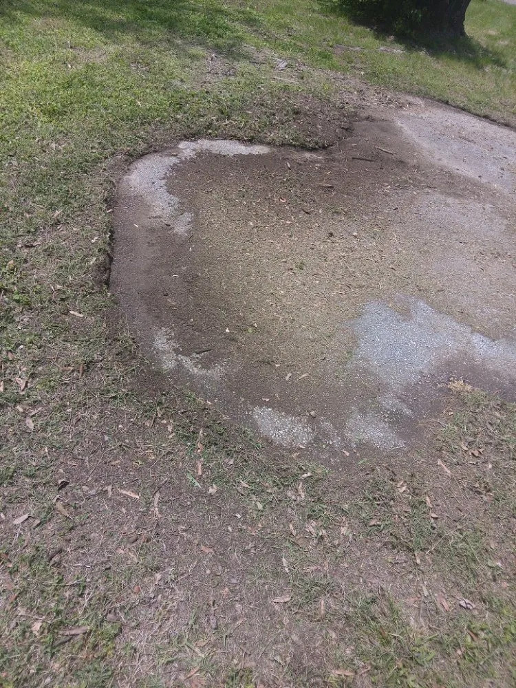 Custom landscape design experts serving Milan, TN - TT Tree and Lawn Service