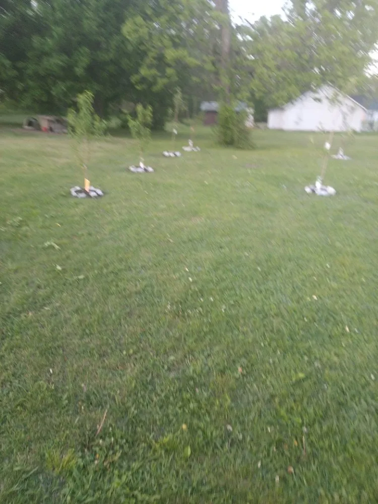 Reliable landscaping services for beautiful yards in Milan, TN by TT Tree and Lawn Service