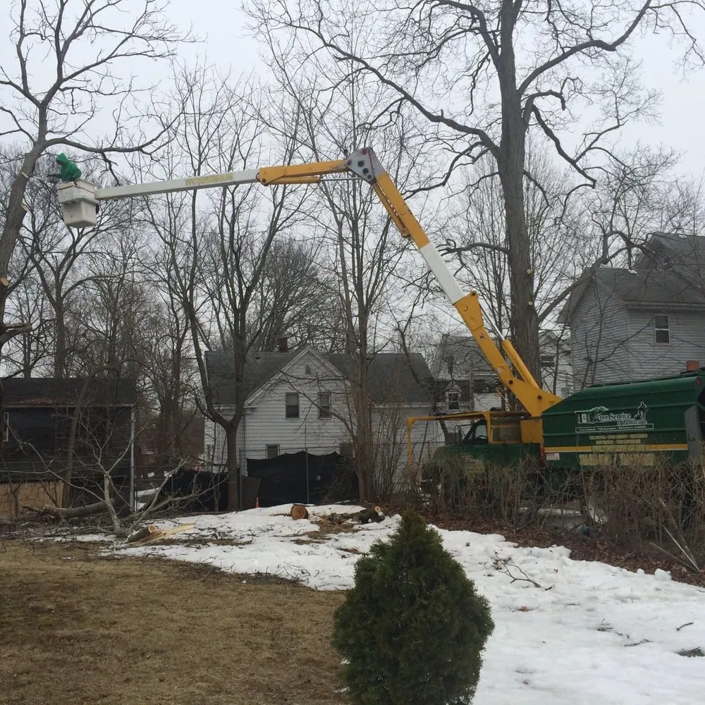 Trusted yard maintenance for outdoor upgrades in Quincy, MA by T&T Tree Service & Landscaping