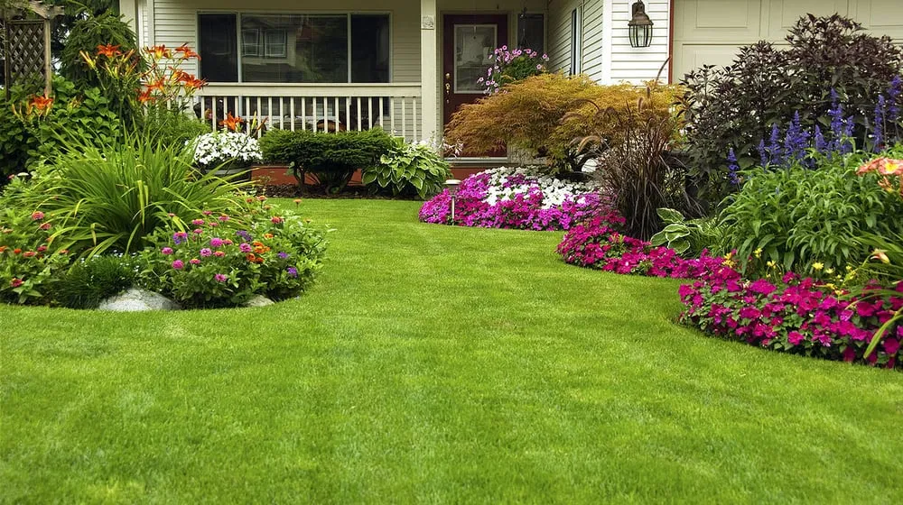 Trusted yard maintenance in Quincy, MA by T&T Tree Service & Landscaping