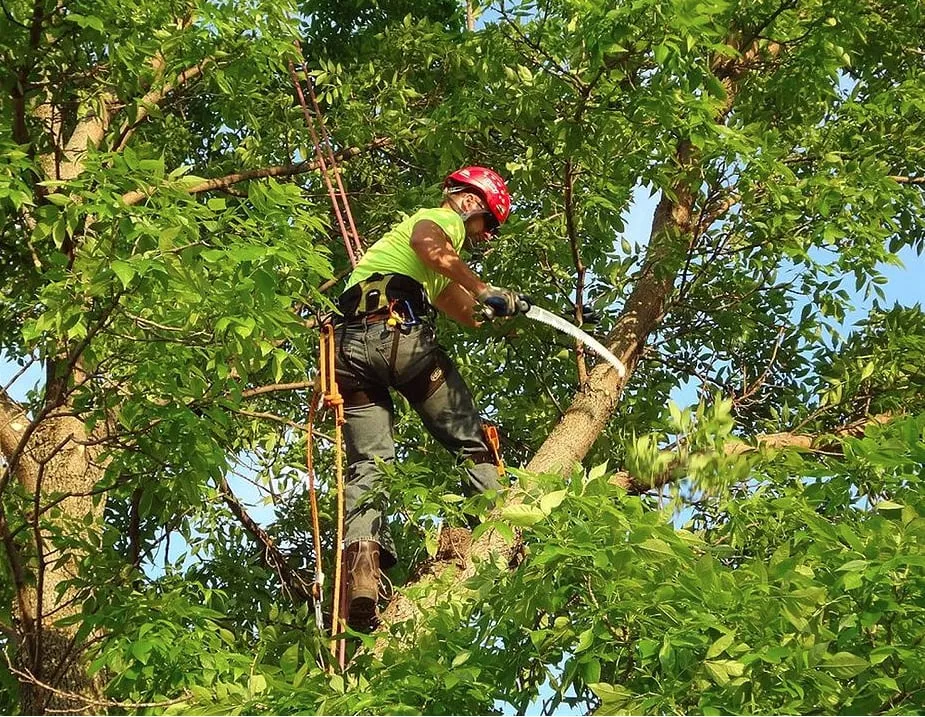 Custom landscape design with custom design in Quincy, MA by T&T Tree Service & Landscaping